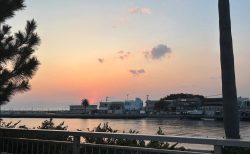 会計委員会ってどんなところ？