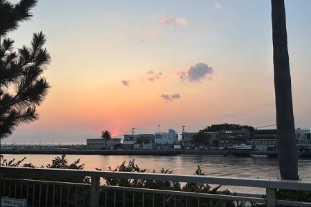 会計委員会ってどんなところ？