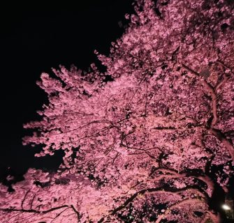 こちら新入生歓迎実行委員会