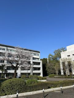 2026年度入学式にむけて